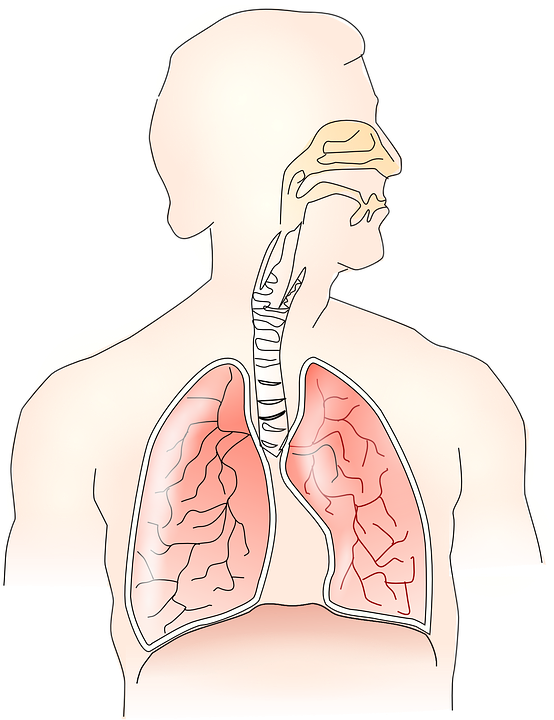 Respiratory-Health-Lungs-Breathing