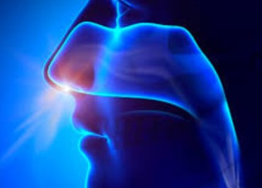 allergic rhinitis
